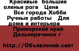 Красивые  большие оленьи рога › Цена ­ 3 000 - Все города Хобби. Ручные работы » Для дома и интерьера   . Приморский край,Дальнереченск г.